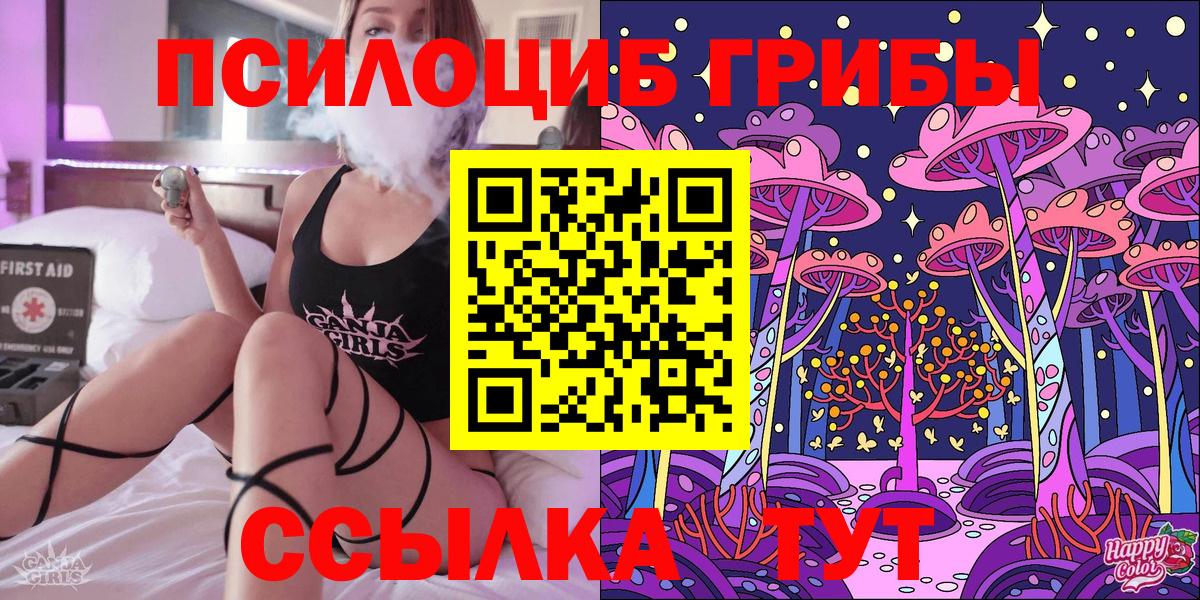 Элиста  Псилоцибиновые грибы GOLDEN TEACHER  Вход с VPN 