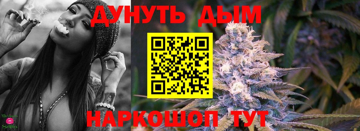 Каннабис OG Kush Элиста